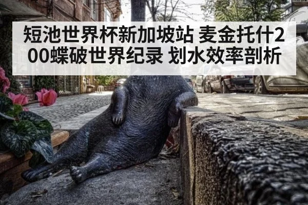 短池世界杯新加坡站 麦金托什200蝶破世界纪录 划水效率剖析