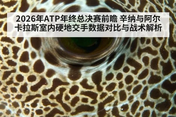 2026年ATP年终总决赛前瞻 辛纳与阿尔卡拉斯室内硬地交手数据对比与战术解析